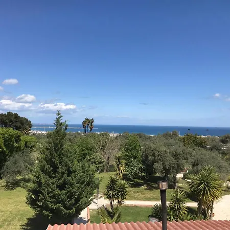 L’ulivo Belvedere (Sicily)