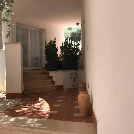 L’ulivo Сasa de vacaciones Belvedere (Sicily)